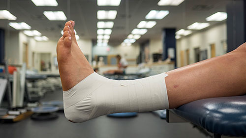 Athletic Trainer