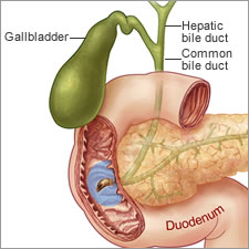 gallbladder