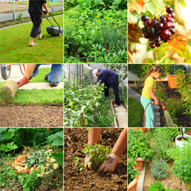 Flex Your Green Thumb Gardening for Weight Loss